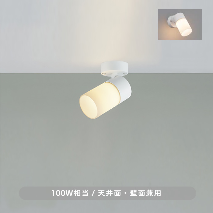 消しガラス・スポットライト | 100W相当・広角