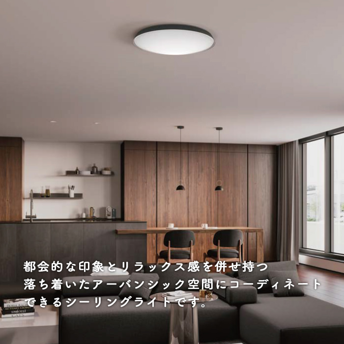 Hagane-Dgy-metallic シーリングライト・ダークグレー｜~8畳