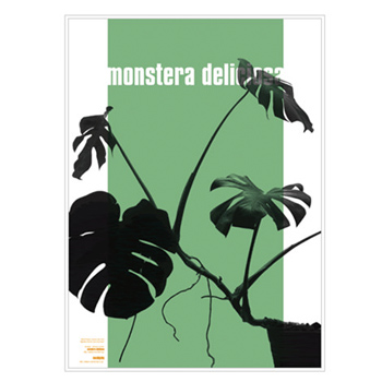 Wall Plants Monstera-002 | フレーム付き