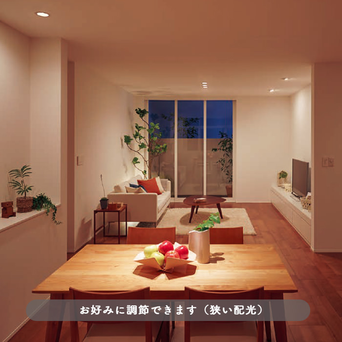 配光調整機能付きスポットライト 100形 電球色・ブラック | ダクトレール用