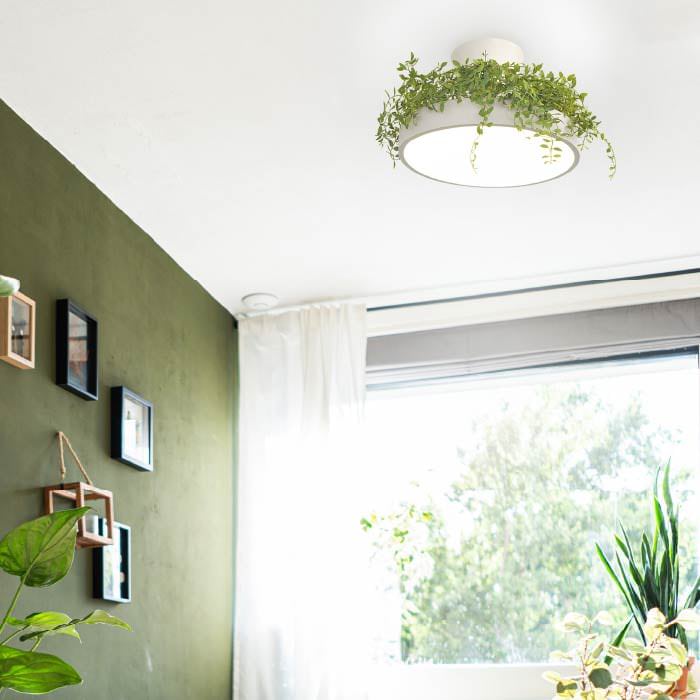 Giorno・リーフ 間接照明付 2WAY シーリングライト | 〜8畳・リモコン付