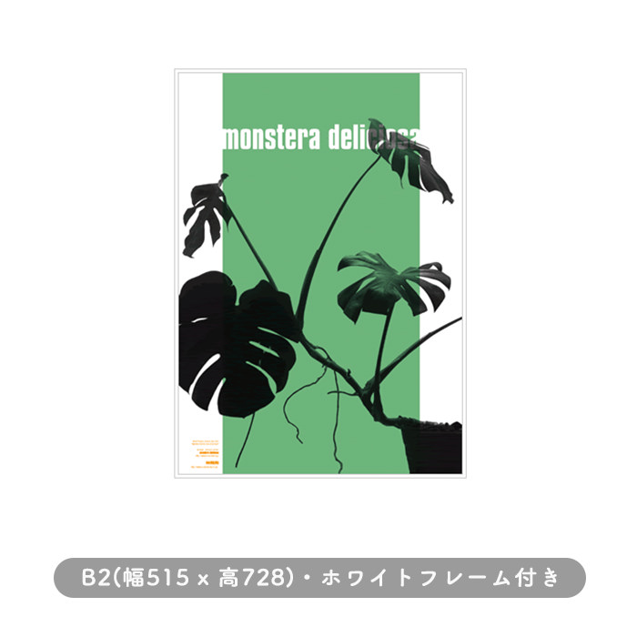 Wall Plants Monstera-002 | フレーム付き