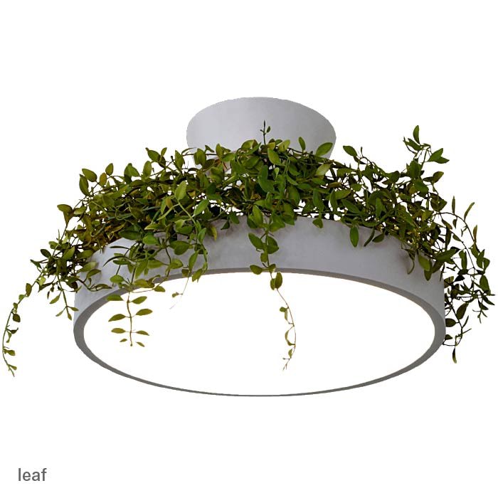 Giorno・リーフ 間接照明付 2WAY シーリングライト | 〜8畳・リモコン付