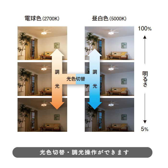 シーリングファンライト｜10畳・薄型・リバーシブル羽根・リモコン・ホワイト