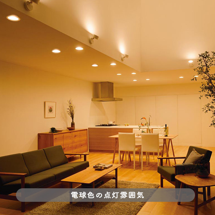 FLAT スポットライト ブラック・100W相当 | bluetooth