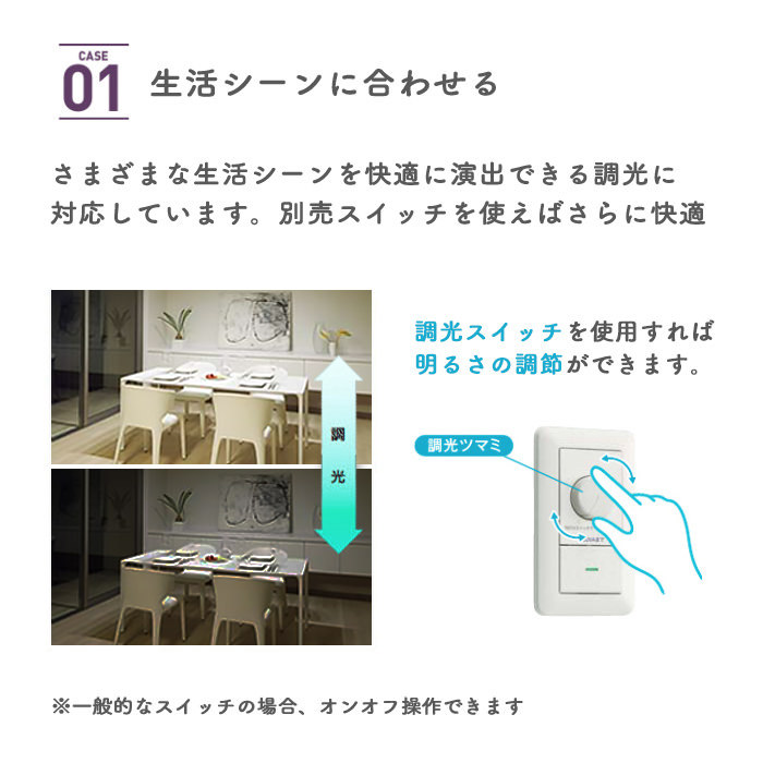 レセップタイプ ダウンライト Φ75mm｜ブラック