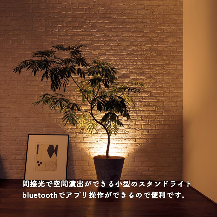 TUTU アッパーライトスタンドライト｜Bluetooth