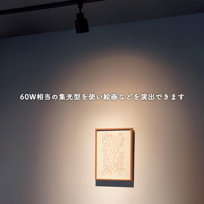 スポットライト・ダクトレール用 60W形相当 集光 | ブラック