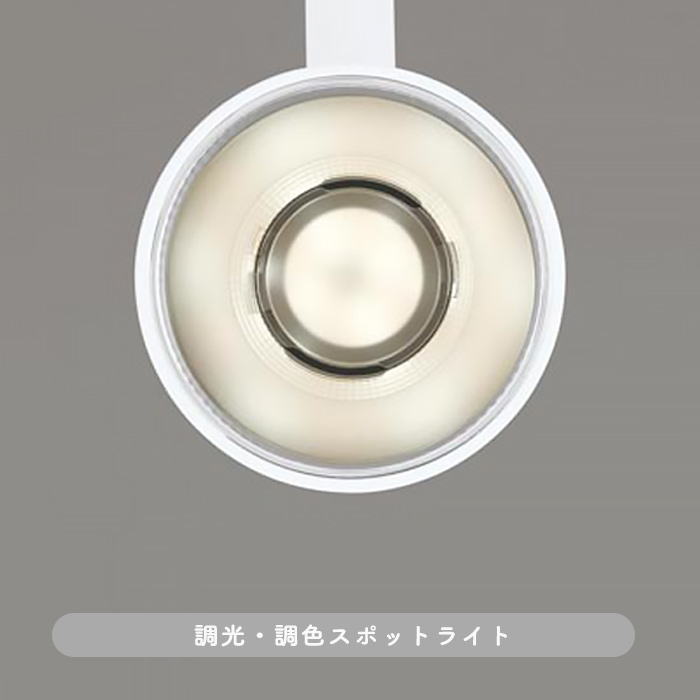 GLARELESS スポットライト マットホワイト・100W相当 | bluetooth [生産終了]