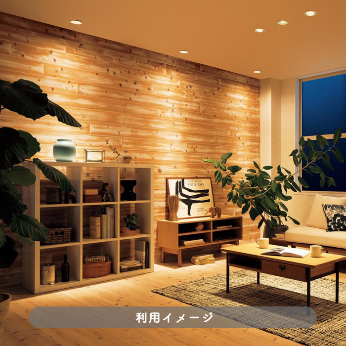 ダウンライト Φ100 電球色・60W相当