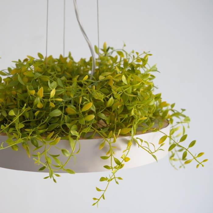 Giorno・リーフ 間接照明付 2WAY シーリングライト | 〜8畳・リモコン付