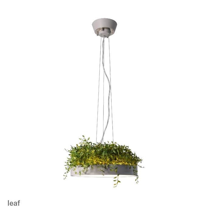 Giorno・リーフ 間接照明付 2WAY シーリングライト | 〜8畳・リモコン付