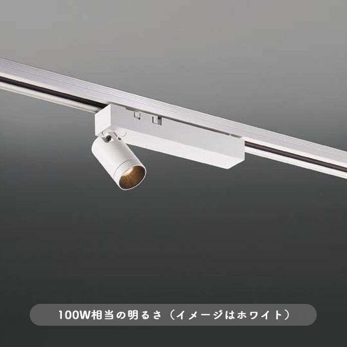 AML スポットライト 100W・広角｜ホワイト