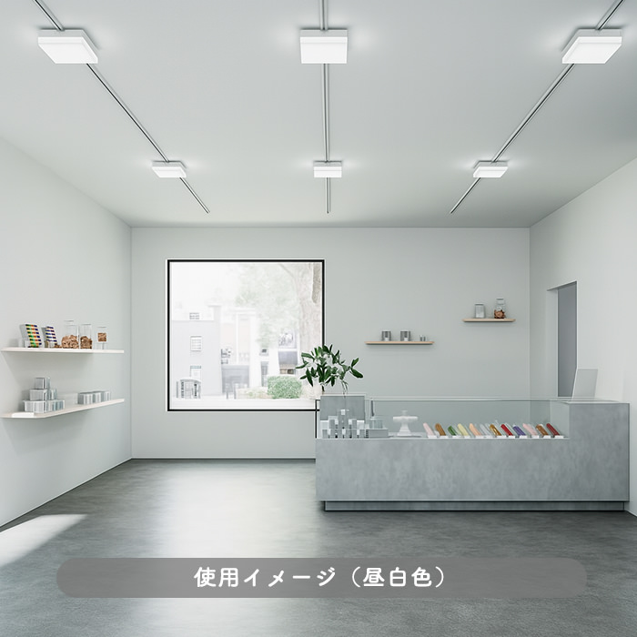 SQUARE SOLID ホワイト・昼白色｜ダクトレール用