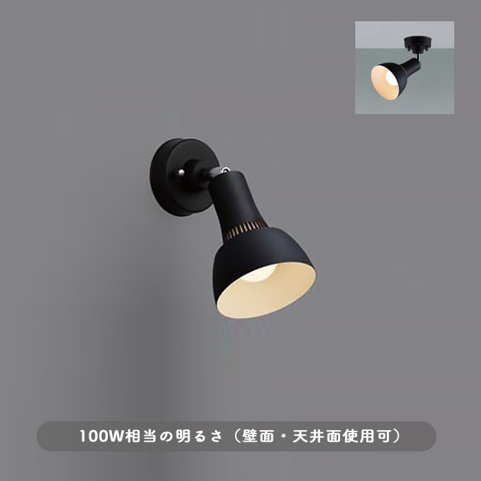 スポットライト・100W相当 | サテンブラック