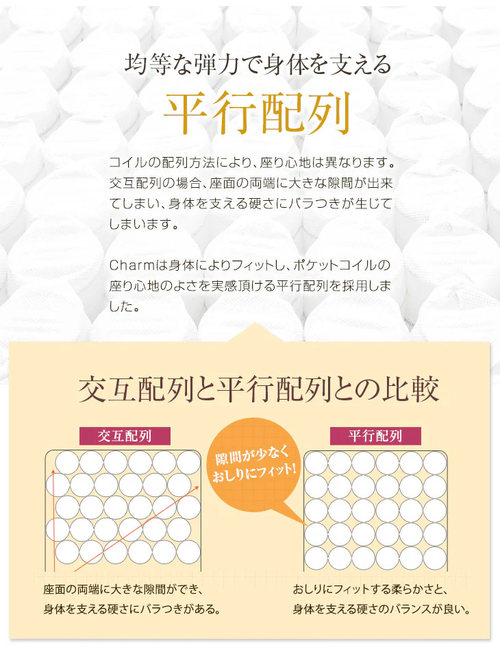 BIG ポケットコイル 座椅子 ポケットコイル 無段階 リクライニング座椅子 レバー式  〔16210001〕