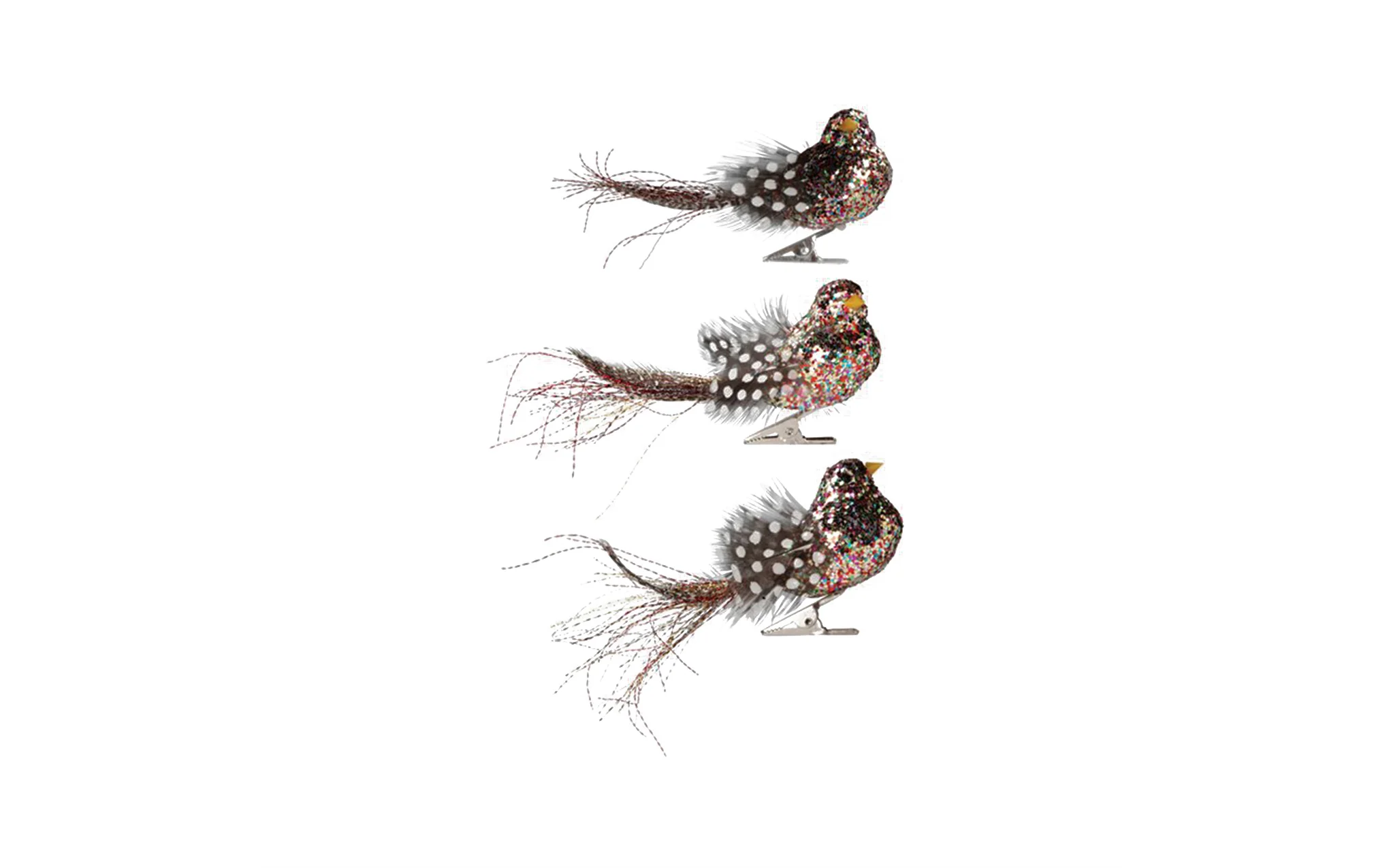 ギニアの鳥 上 クリップ - セット の 3