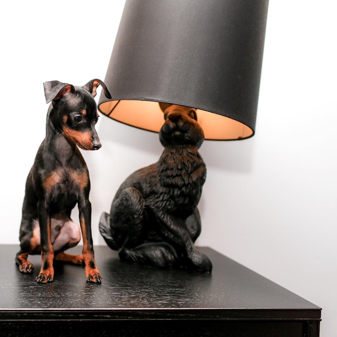 Rabbit Table Lamp