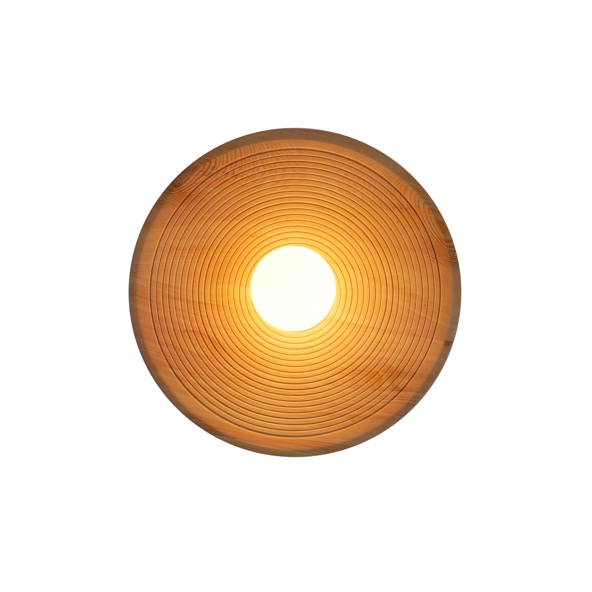 Annual Ring Wall Lamp