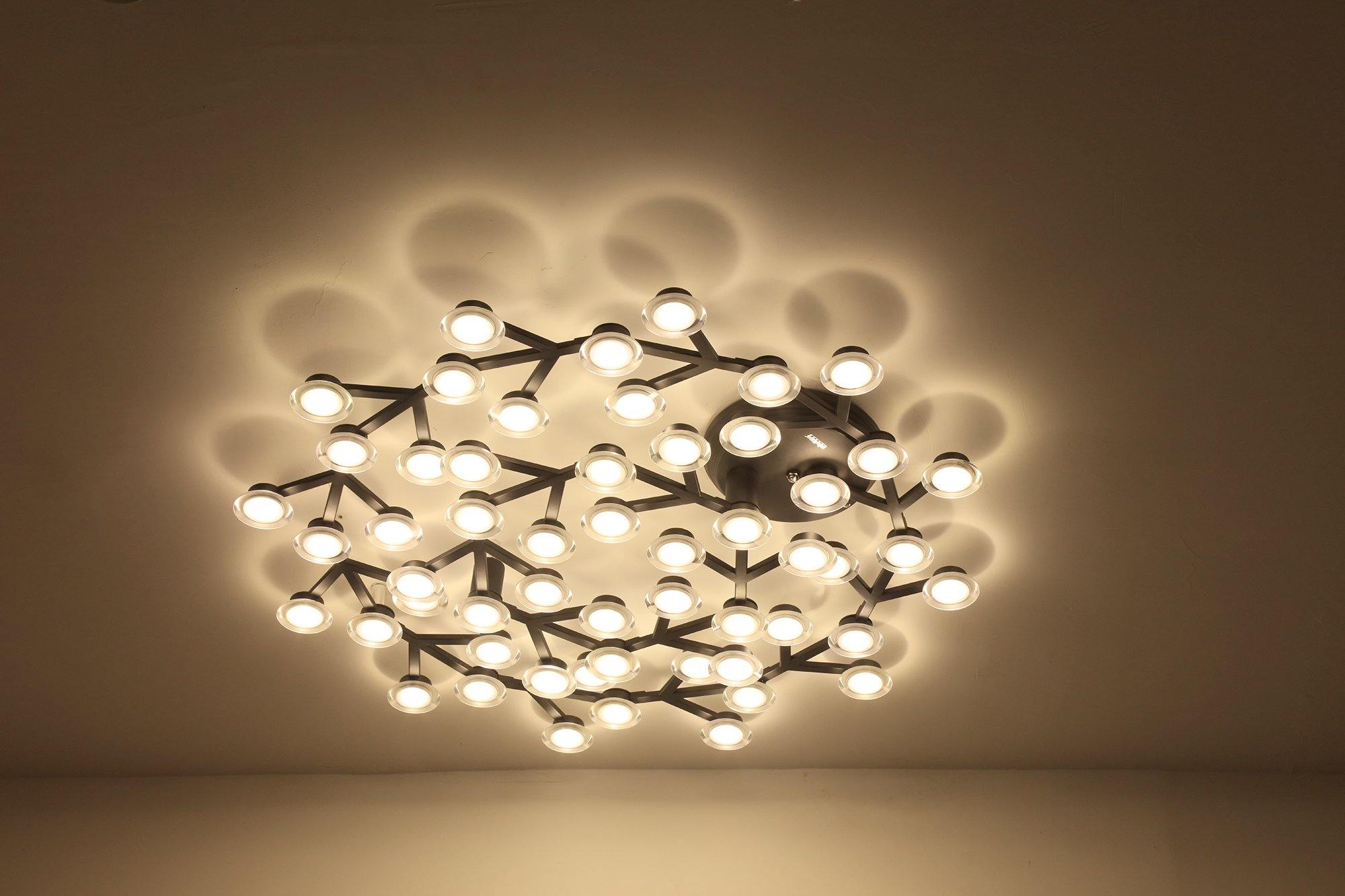 LEDネットシーリングランプ