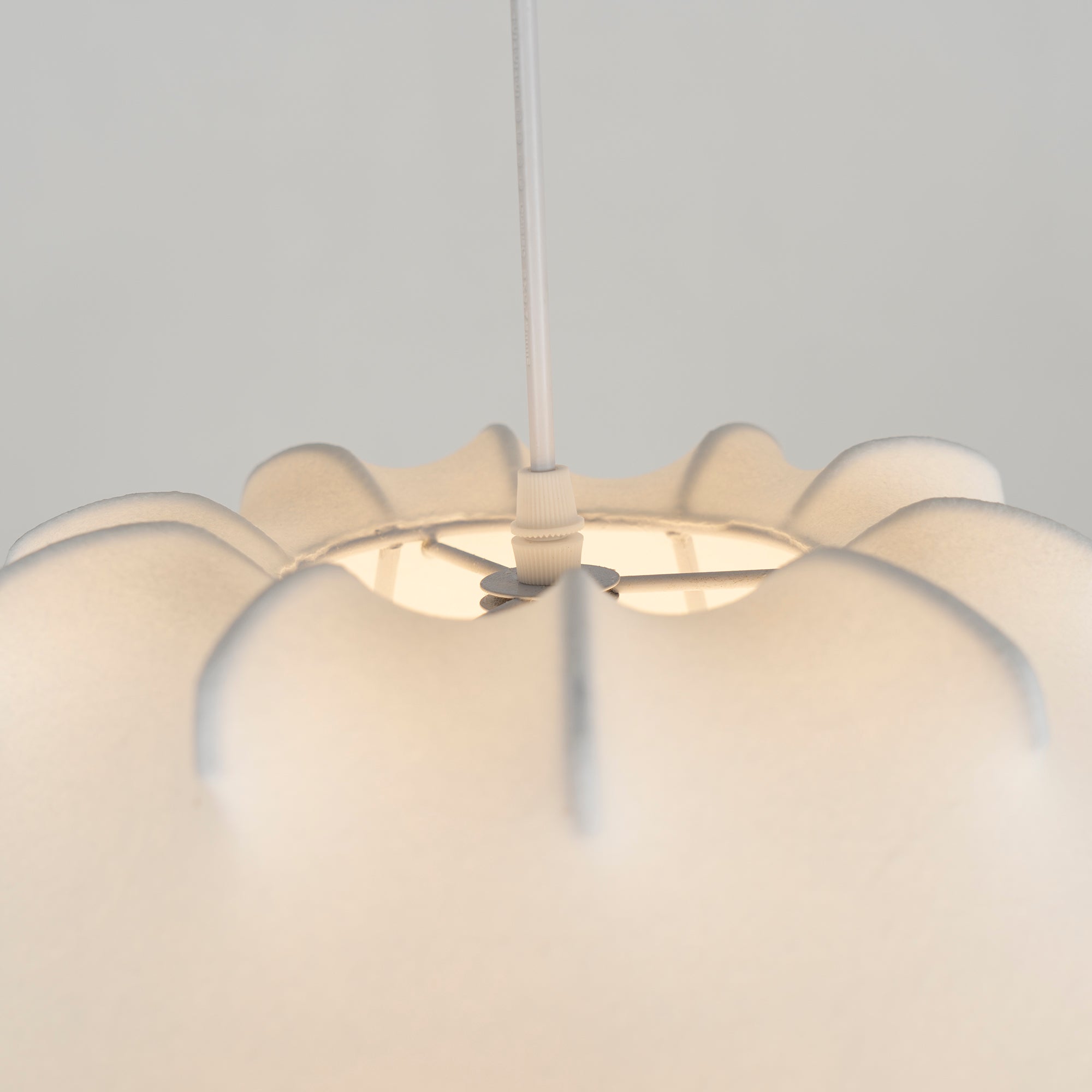 Taraxacum Suspension Lamp