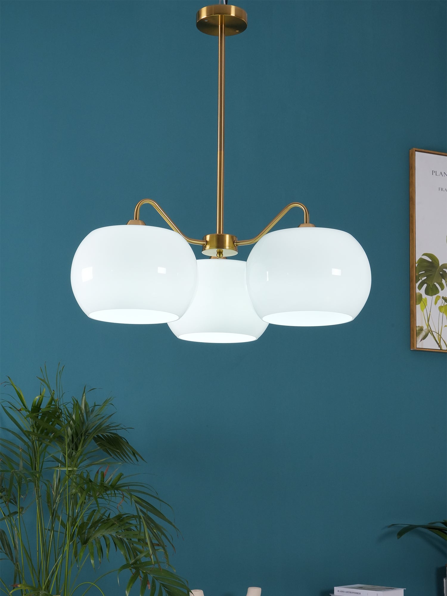 モリシオシャンデリア