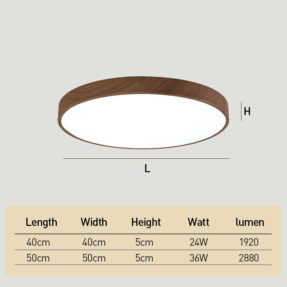 モダンな天井ランプ リビングルーム LED照明