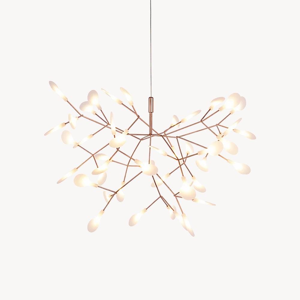 Heracleum Chandelier