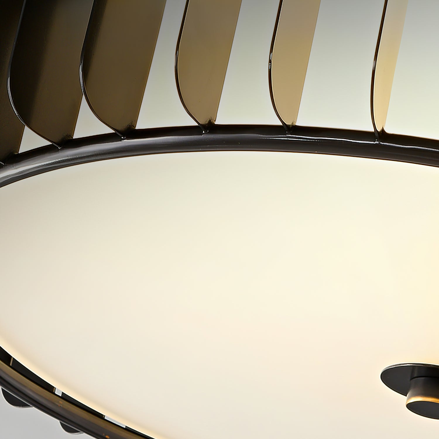 百花天井ランプ