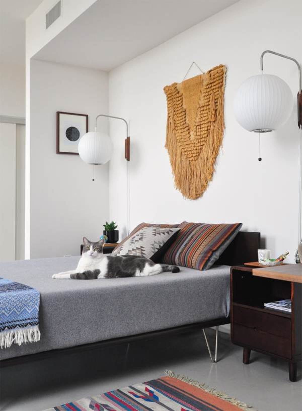 ネルソン ウォール スコンセ