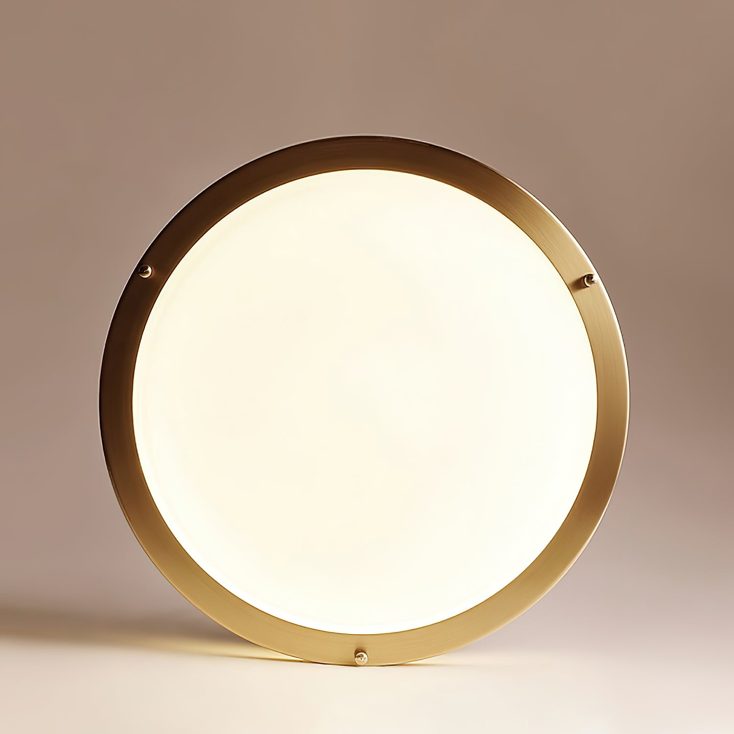 Bellacor Ceiling Lamp