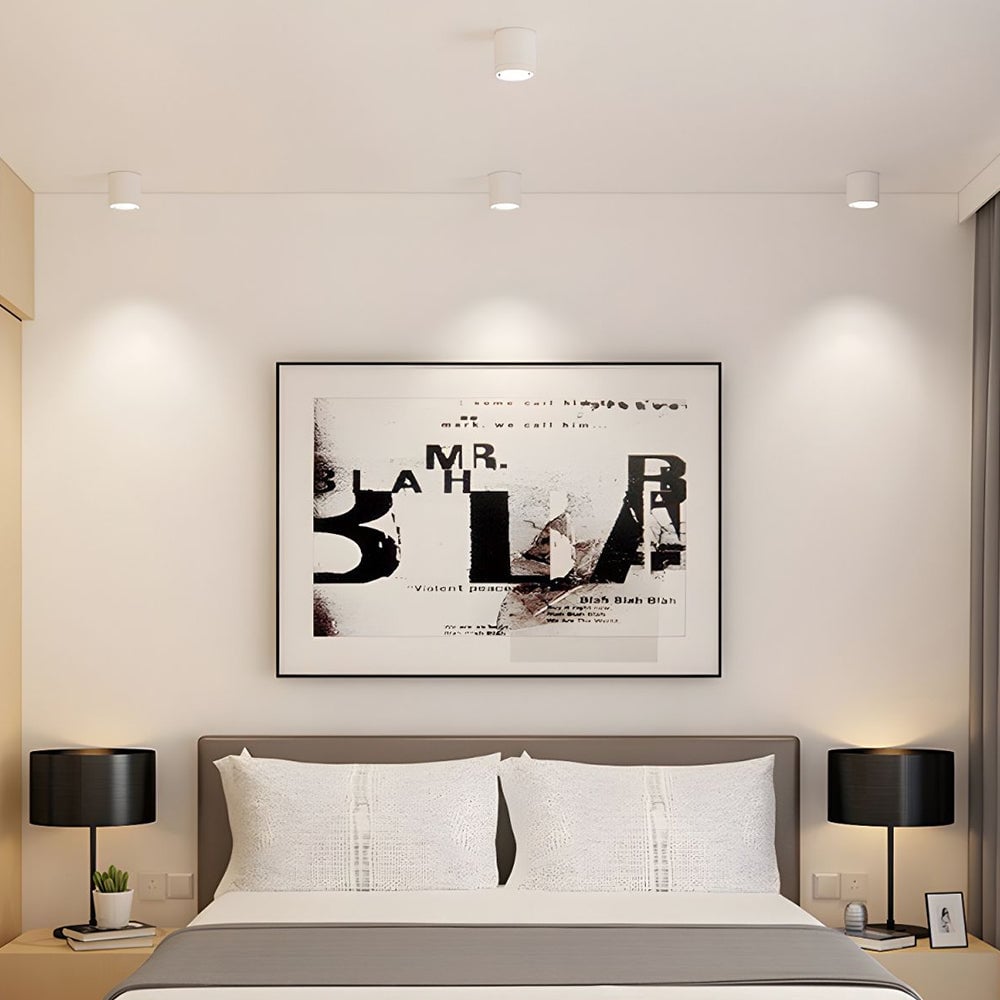 ミニマルな装飾のアルミ製ホワイト＆ブラックLED天井ダウンライト（廊下用）