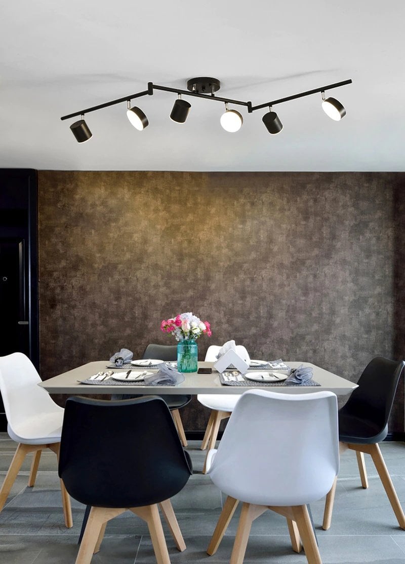 トラックライト シーリングライト