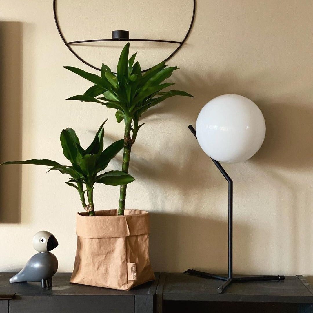 IC テーブルライト