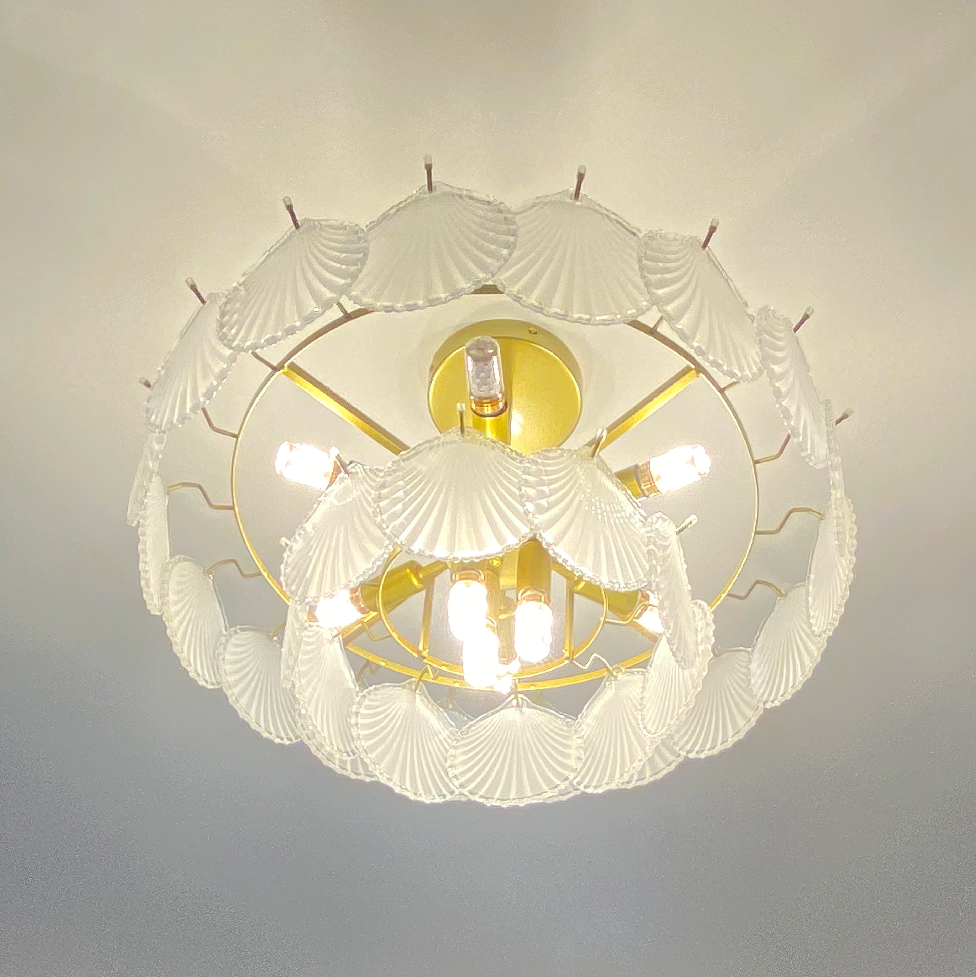 Shell Glass chandelier
