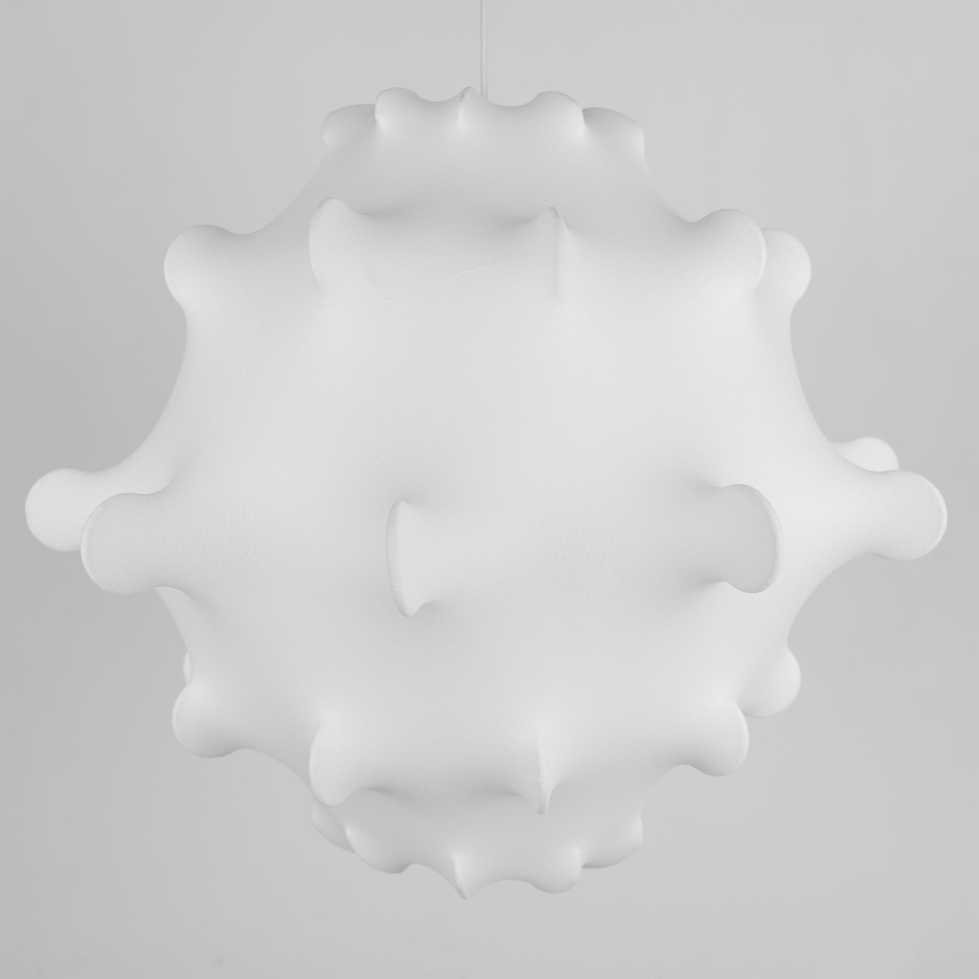 Taraxacum Suspension Lamp