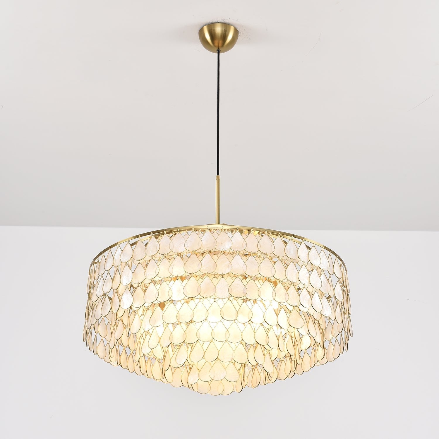 Abbington Shell Chandelier