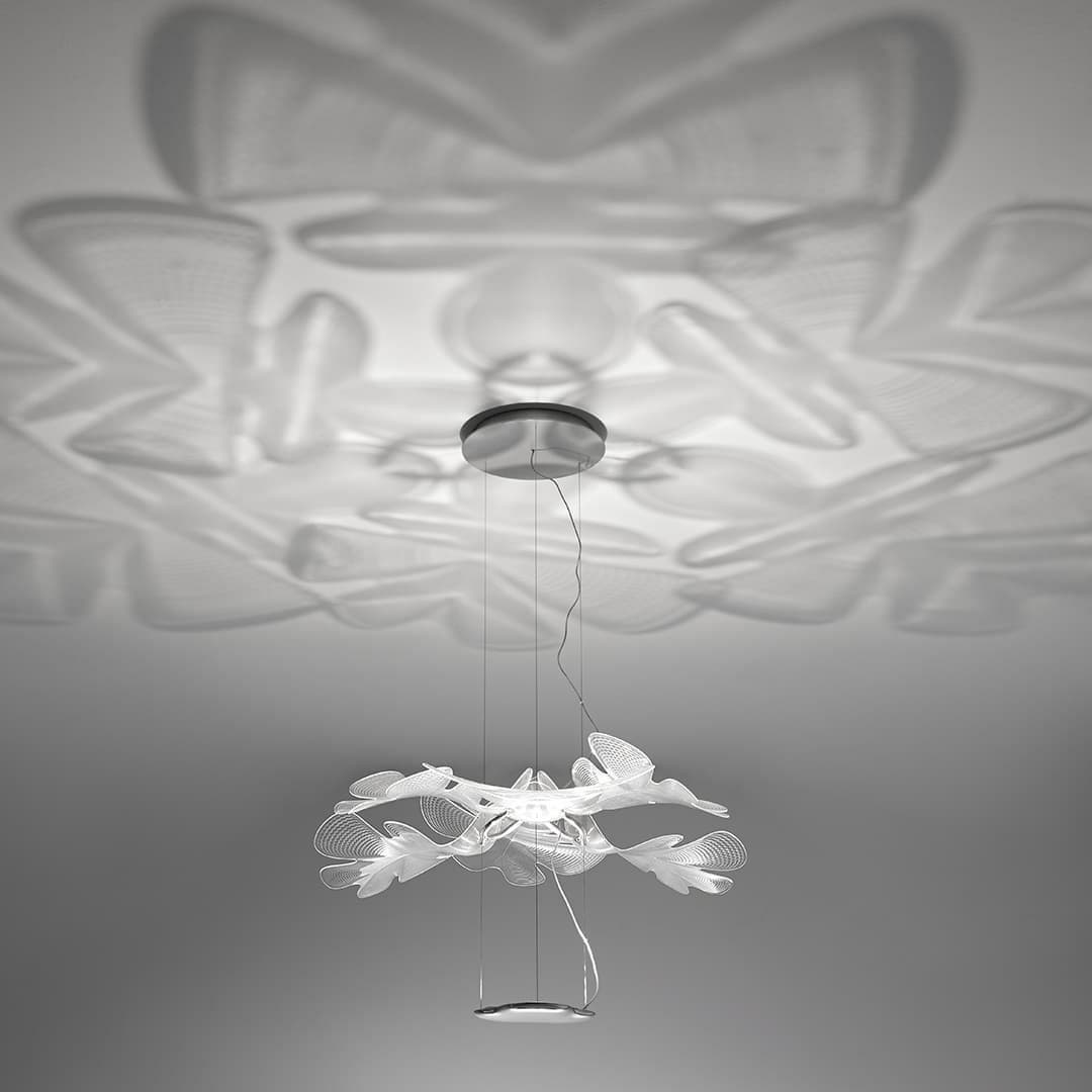 クロロフィリアサスペンションライト