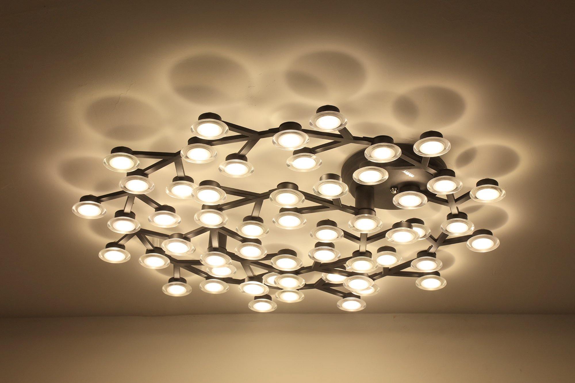 LED Net Ceiling Lamp
