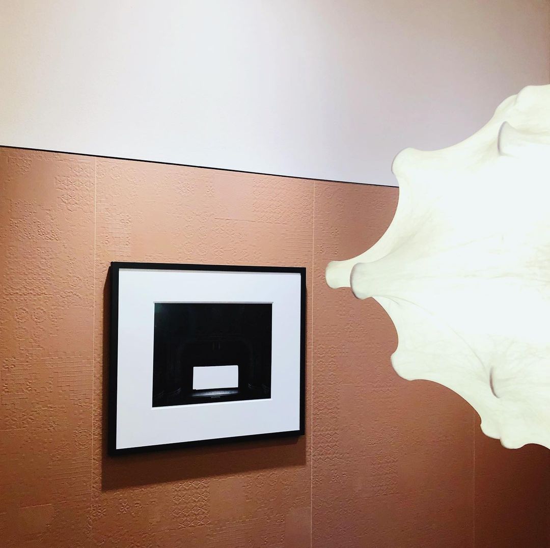 Taraxacum Suspension Lamp