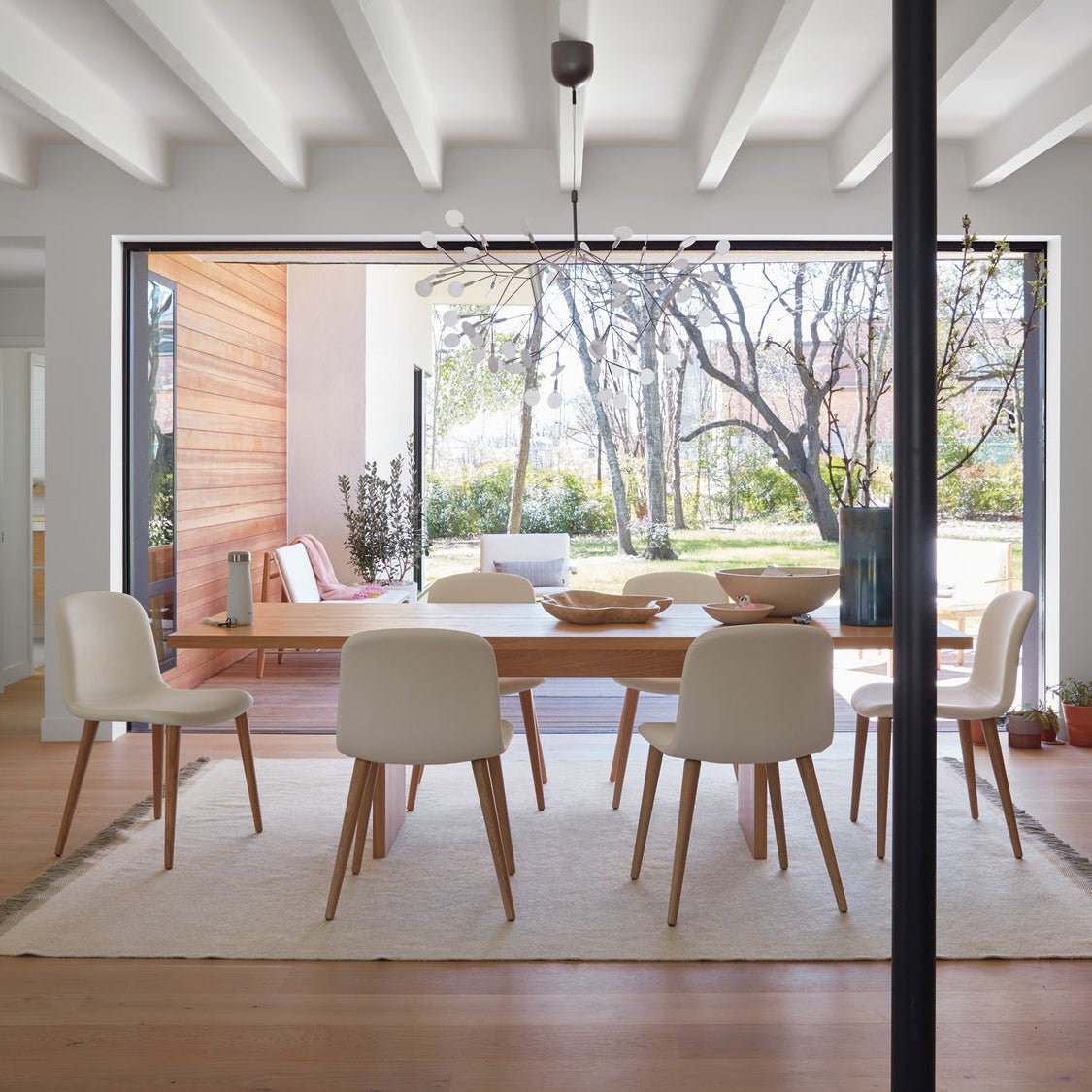 ヘラクレウム ブラック シャンデリア