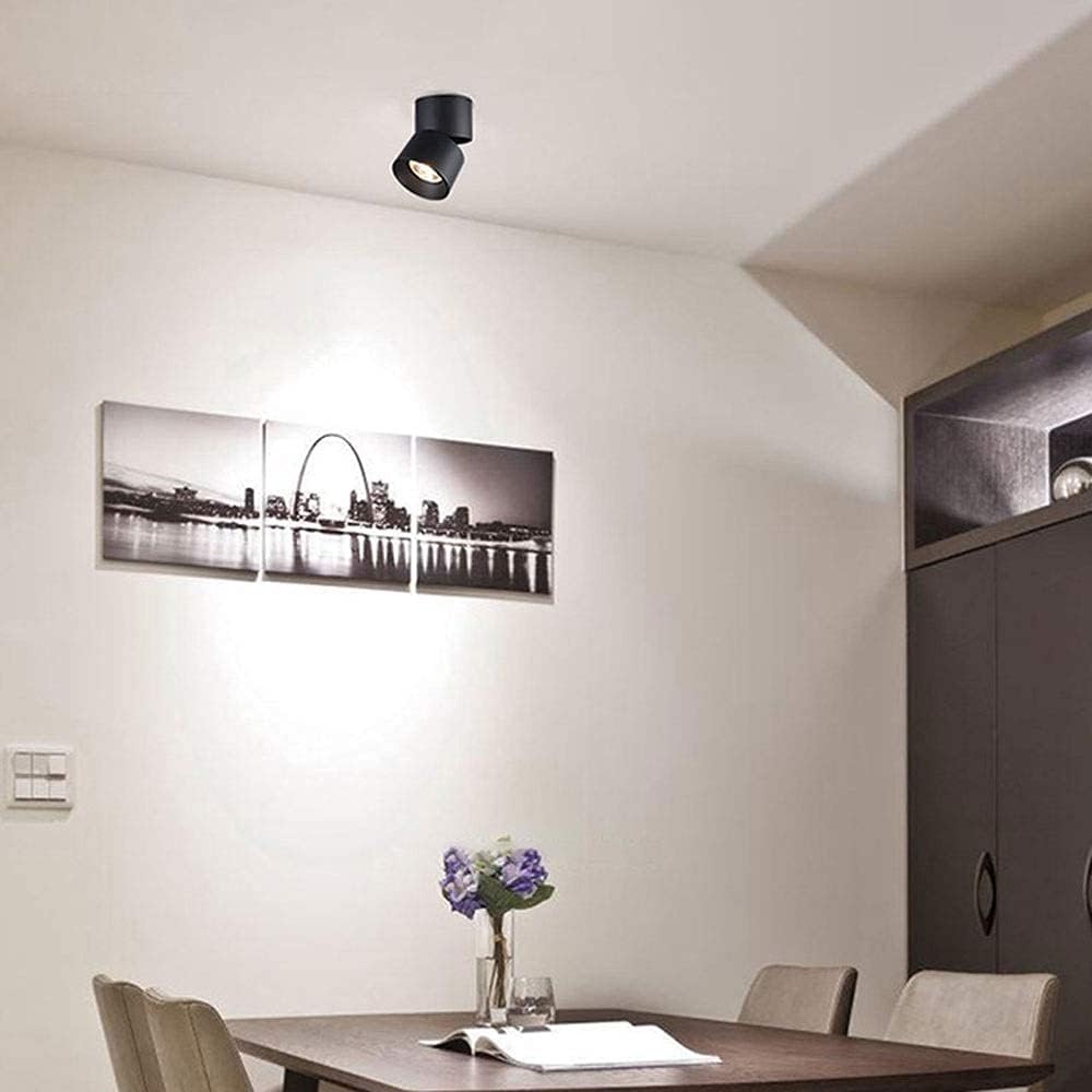 ミニマルな装飾のアルミ製ホワイト＆ブラックLED天井ダウンライト（廊下用）