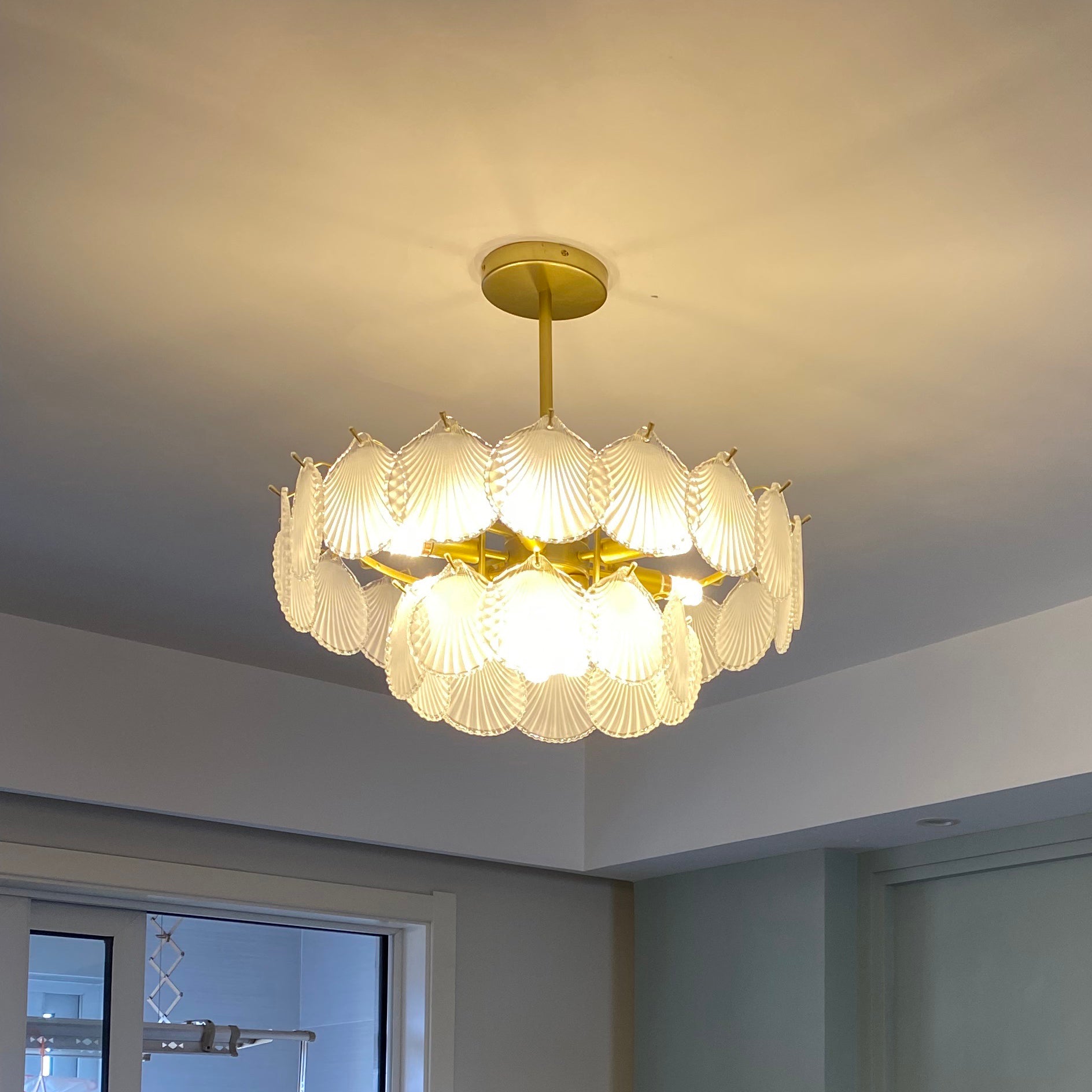 Shell Glass chandelier