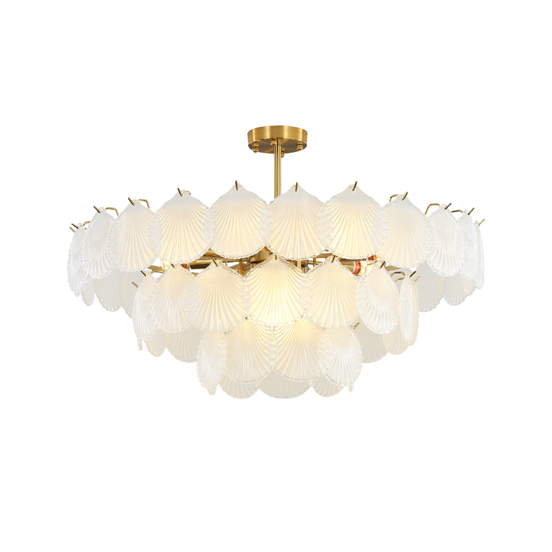 Shell Glass chandelier