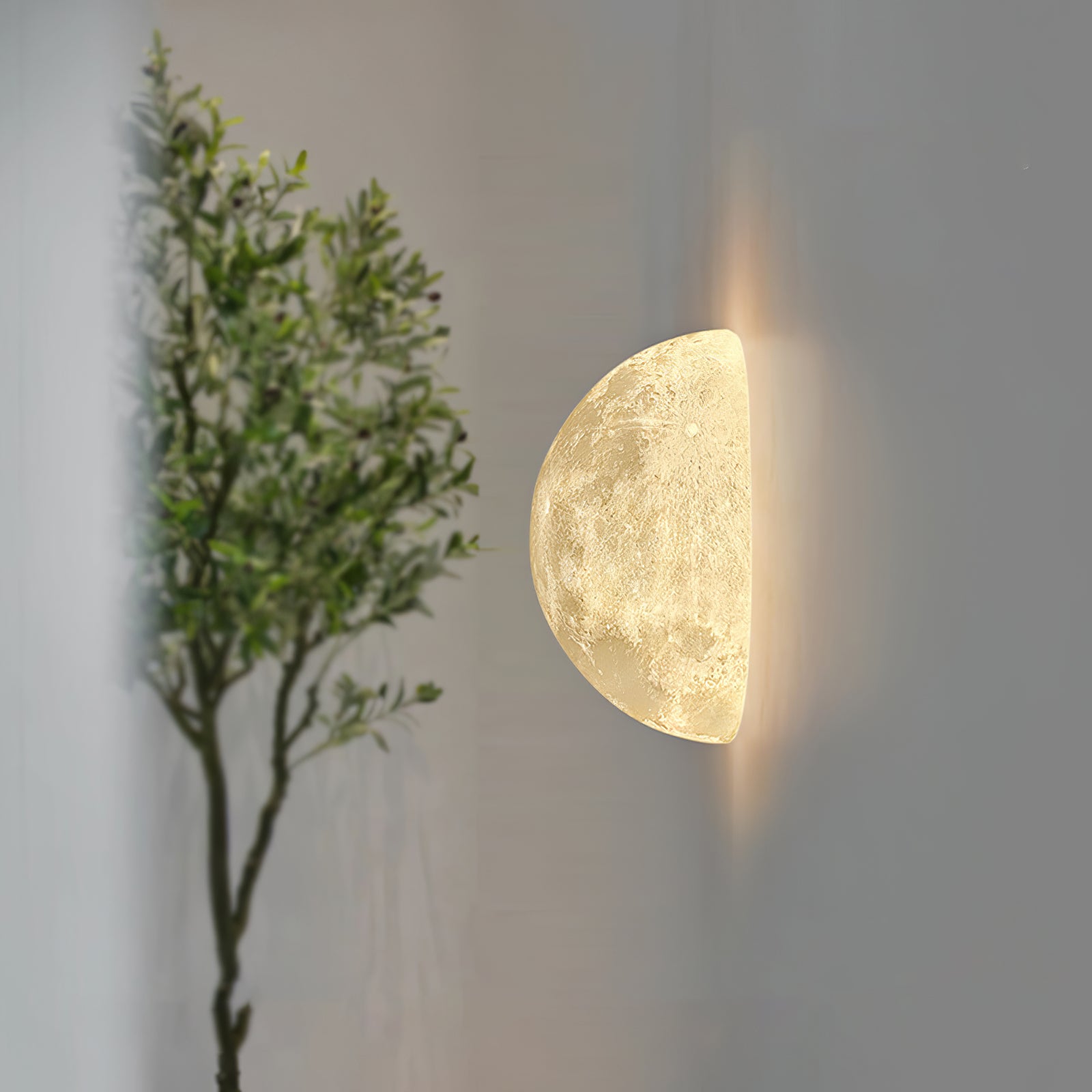 Hemisphere Moon Wall Lamp