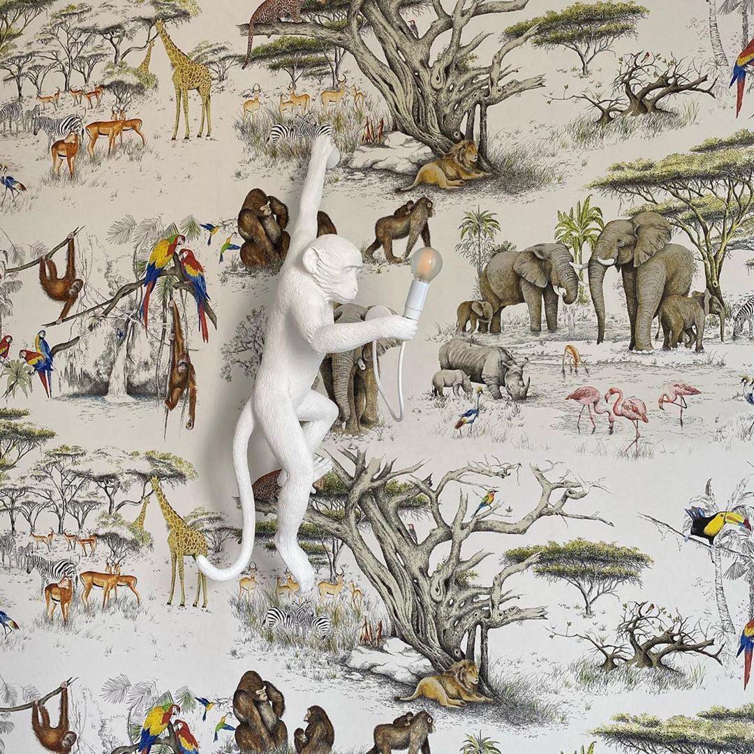 モンキーウォールランプ