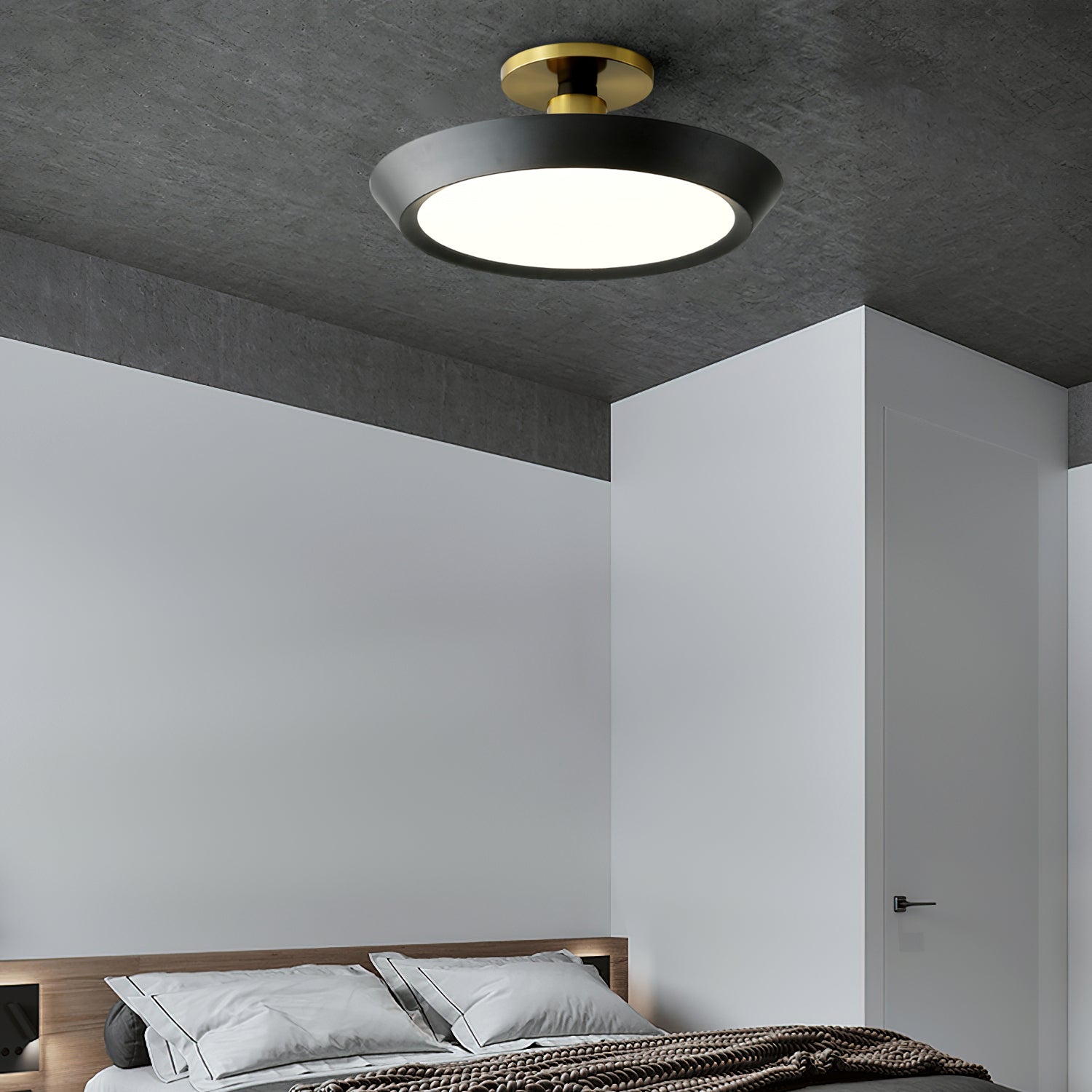 厚い楕円形の天井照明