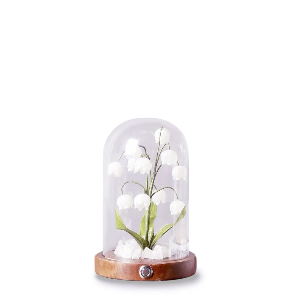 ベルオーキッド ウォームナイトライト