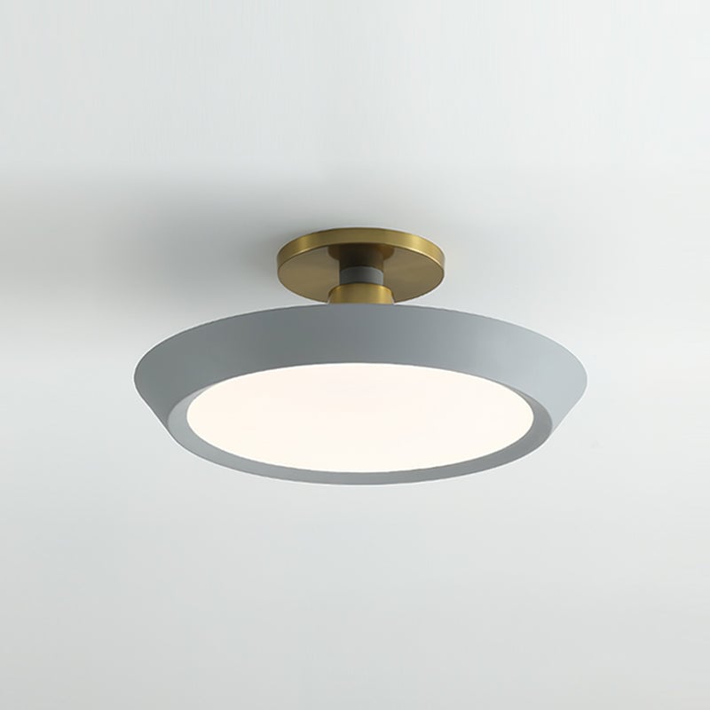 厚い楕円形の天井照明