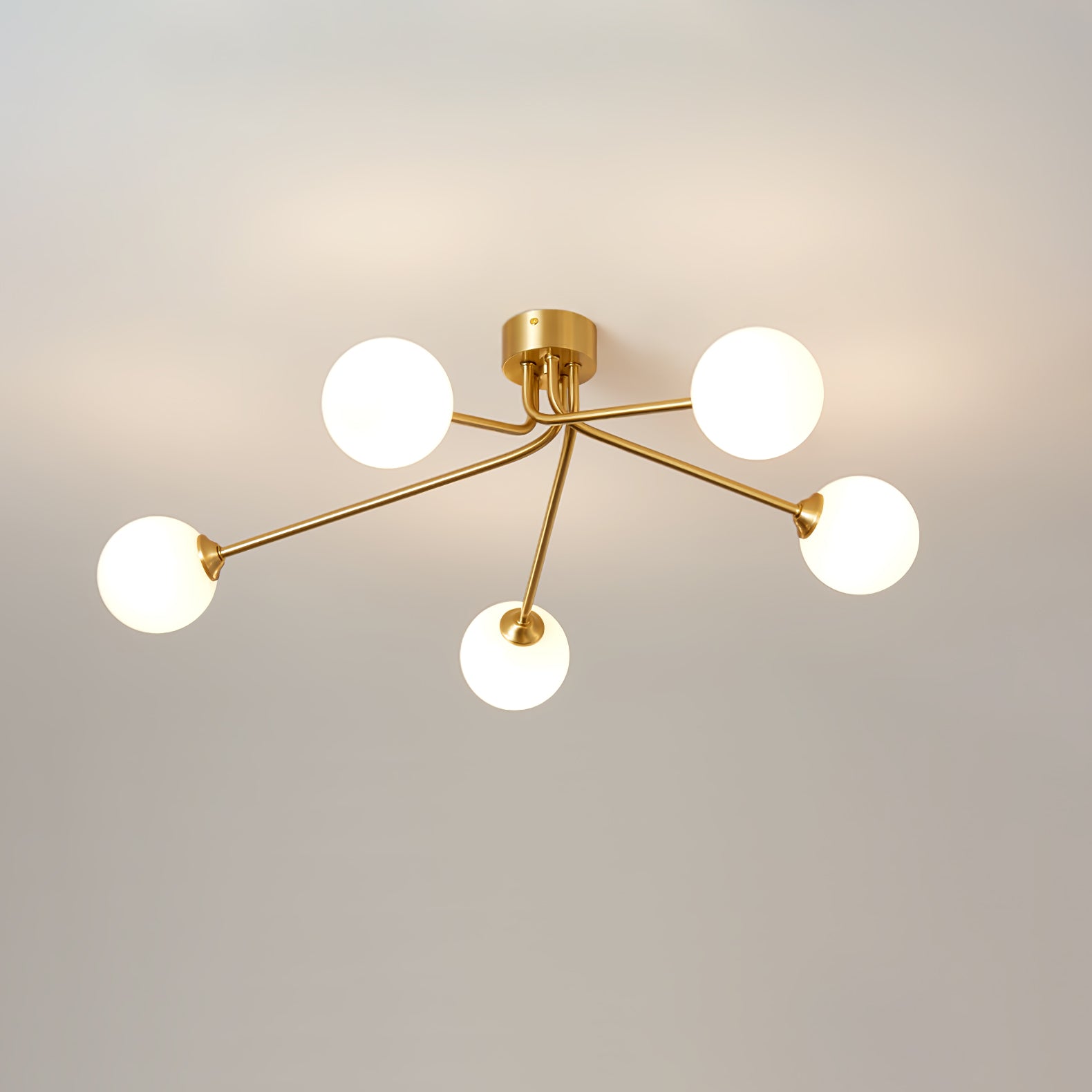 モレラ ボール シーリング ライト